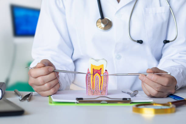 Best Knocked-Out Tooth (Avulsed Tooth) Treatment in Orland Hls, IL